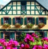 Historisches Weinhotel Zum Grünen Kranz